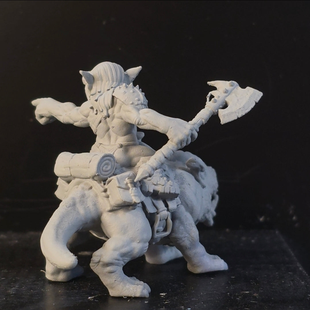 Goblin Rider of the Iron Grin Mob