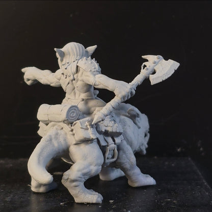 Goblin Rider of the Iron Grin Mob